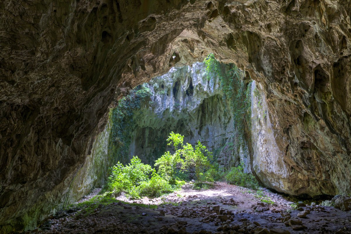 Photo d'une grotte avec un puit de lumière